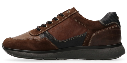 Dakota 15.1642 Cognac-blue-brown T5X